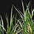 Elegant Pendulous Sedge - 3D Models 3D model small image 2