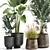 Exotic Plant Collection in Stylish Pots 3D model small image 2