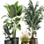 Exotic Plant Collection in Stylish Pots 3D model small image 3