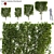 Carpinus Betulus Bundle - 3D Tree Models 3D model small image 1