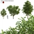 Carpinus Betulus: 3D Tree Model 3D model small image 1