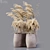 Desiccated Plant Collection 3D model small image 1