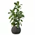 Ficus Lyrata: Exquisite Foliage in Felt Pot 3D model small image 4