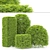 Variety of Shaped Bush Plants 3D model small image 7