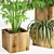 Title: Natural Wood Plant Set - 130 cm 3D model small image 7
