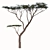 Savanna Acacia Tree Set (2 Trees) 3D model small image 3