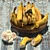 3D Max Bowl of Bananas 3D model small image 2