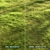 Garden Grass Variety Pack: Scattered Patterns & 3D Models 3D model small image 2