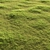 Garden Grass Variety Pack: Scattered Patterns & 3D Models 3D model small image 4