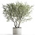 Exquisite Plant Collection in White Vase 3D model small image 1