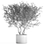 Exquisite Plant Collection in White Vase 3D model small image 6