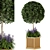 Wooden Pot Bush and Tree Set - Outdoor Plants 3D model small image 1