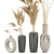 Pampas Dried Plantset in Handmade Vase 3D model small image 2