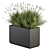 Indian Grass Plant Box Set 3D model small image 1