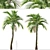 Exquisite Set of Umbrella Palm Trees 3D model small image 3