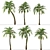 Exquisite Set of Umbrella Palm Trees 3D model small image 4