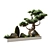 Japanese Pine Decor: 4000mm Length x 1000mm Width 3D model small image 1