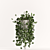 Lush Ficus Plant Collection 3D model small image 3