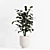 Lush Ficus Plant Collection 3D model small image 4