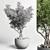 Indoor Bonsai Tree - Elegant Home Decor 3D model small image 2