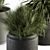 Fresh Greenery: Indoor Plant Set 3D model small image 3