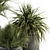 Fresh Greenery: Indoor Plant Set 3D model small image 4