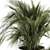 Fresh Greenery: Indoor Plant Set 3D model small image 5