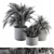 Fresh Greenery: Indoor Plant Set 3D model small image 1