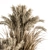 Lush Pampas Trio: 224 Indoor Plants 3D model small image 3