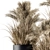 Lush Pampas Trio: 224 Indoor Plants 3D model small image 4