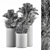 Lush Pampas Trio: 224 Indoor Plants 3D model small image 5