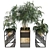 Botanical Bliss Box: Deluxe Plant Set 3D model small image 2