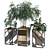 Botanical Bliss Box: Deluxe Plant Set 3D model small image 3