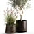 Exquisite Greenery Collection: Metal Potted Plant Ensemble 3D model small image 2