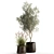 Exquisite Greenery Collection: Metal Potted Plant Ensemble 3D model small image 6