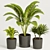 Greenery Delight: Plants Collection 3D model small image 1