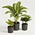 Greenery Delight: Plants Collection 3D model small image 2