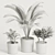 Greenery Delight: Plants Collection 3D model small image 3