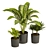 Greenery Delight: Plants Collection 3D model small image 5