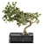 Zen Oasis Bonsai Set 3D model small image 1