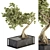 Zen Oasis Bonsai Set 3D model small image 3