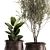 Tropical Plant Assortment - Metal Pot Collection 3D model small image 2
