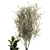 Tropical Plant Assortment - Metal Pot Collection 3D model small image 4