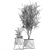 Tropical Plant Assortment - Metal Pot Collection 3D model small image 7