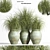 2015 Outdoor Plant Set - Premium Quality 3D model small image 1