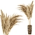 Pampas Dried Plantset in Handmade Vase 3D model small image 2