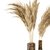 Pampas Dried Plantset in Handmade Vase 3D model small image 5