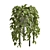  Lush Greenery: Plants Collection 3D model small image 3
