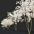 Shadbush Serviceberry Trees - Blooming Delight 3D model small image 3