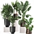 Exotic Plant Collection: Metal Pots & Decorative Vases 3D model small image 1